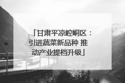 甘肃平凉崆峒区：引进蔬菜新品种 推动产业提档升级